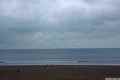 photo f025