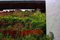 photo f042