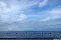 photo f060