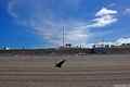 photo f130