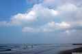 photo f079