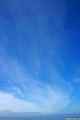photo f015