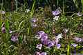 photo f044