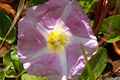 photo f073