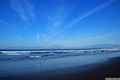 photo f005
