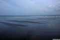 photo f021