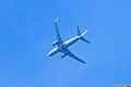 photo f027