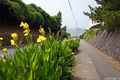 photo f044