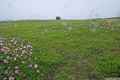 photo f041