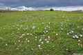 photo f057