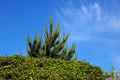 photo f008
