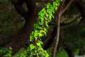photo f076
