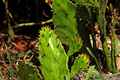 photo f044
