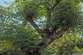 photo f066