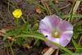 photo f015