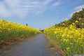 photo w25405f124