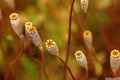 photo w25524f173