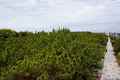 photo w25604f166